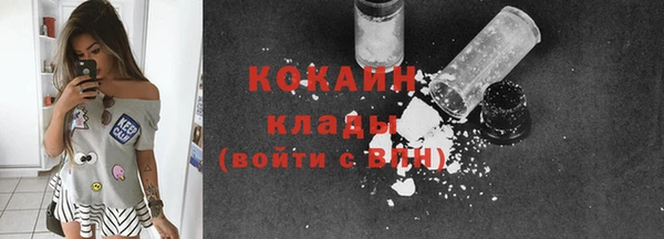 мдпв Кодинск