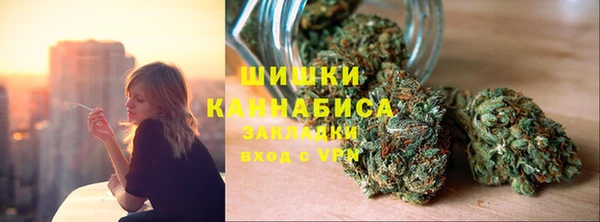 мдпв Кодинск