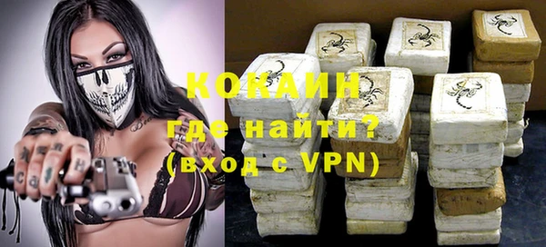 мдпв Кодинск