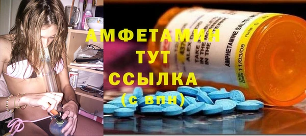 мдпв Кодинск